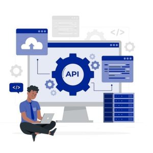 API Development and Process Automation Support